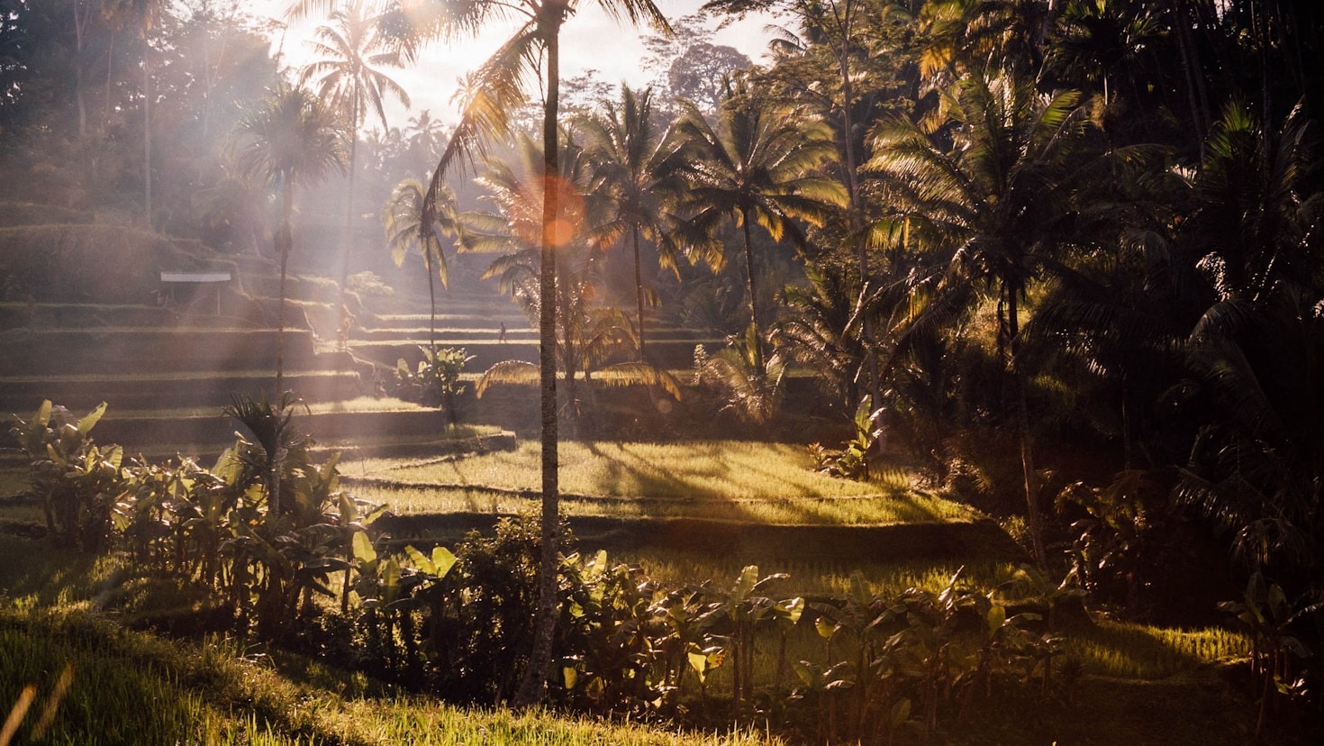 Understanding The Roots Of Personal Growth
